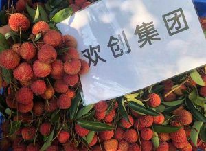 夏日好“枝”味，米兰体育-米兰全站 | 米兰体育官方网站
集团发福“荔”啦