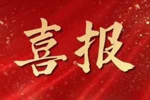 雀跃欢呼 | 米兰体育-米兰全站 | 米兰体育官方网站
集团荣膺佬麻雀“最佳战略合作伙伴”
